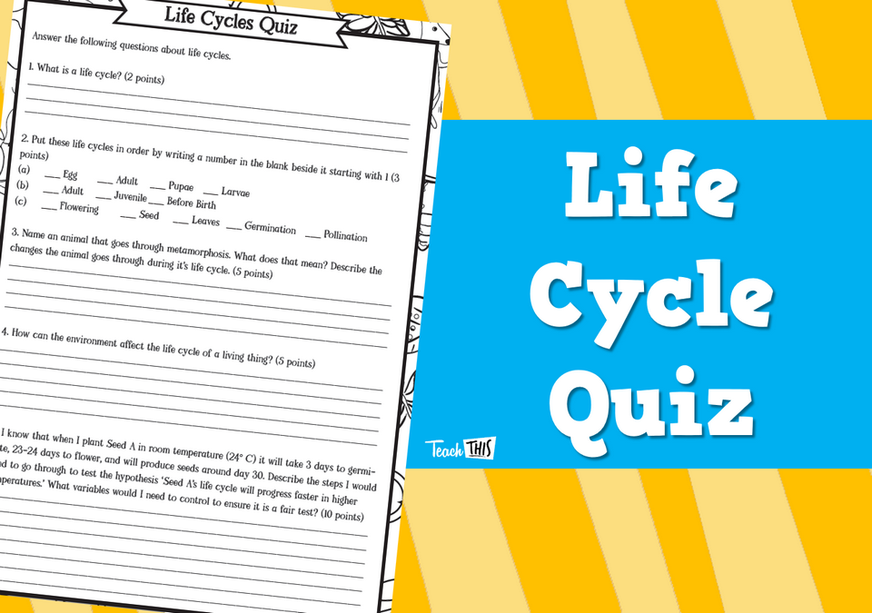 Life Cycle Quiz Teacher Resources and Classroom Games Teach This